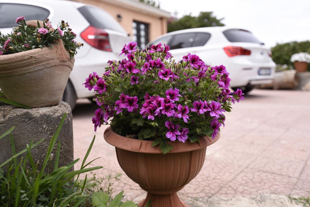 La Casa Dei Sogni Bed & Breakfast Сиракуза Екстериор снимка